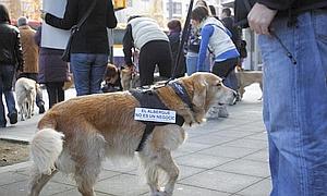 Manifestación celebrada el pasado domingo contra el cambio de la gestión de la perrera. / J. BILBAO