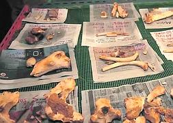 Huesos, en este caso humanos, encontrados durante la última campaña de excavaciones en el yacimiento piloñés del Sidrón. ::                             NEL ACEBAL