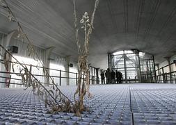 Viaje a los espacios culturales dejados de la mano del ladrillo