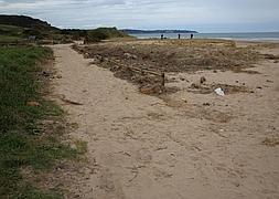 Plan de choque para las playas de Vega, Verdicio y Barayo