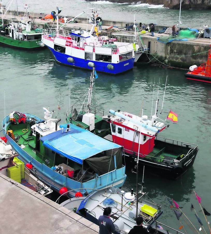 Embarcaciones amarradas en el puerto pesquero de Llanes.
