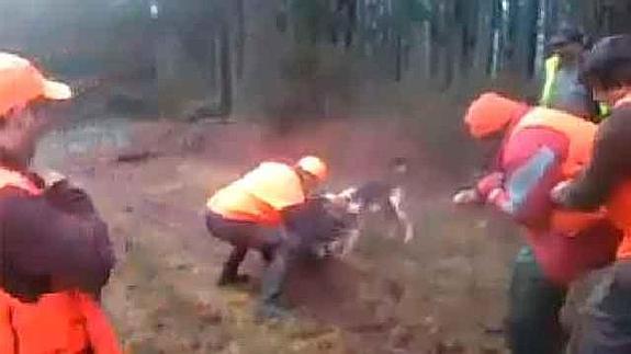 Identificados tres cazadores de Ribadeo que abatieron con ensañamiento a un jabalí