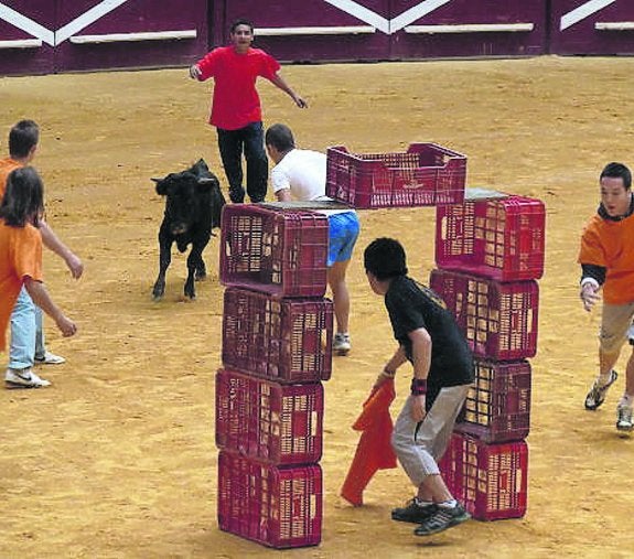 Las vaquillas serán protagonistas en las fiestas de San Cipriano. 