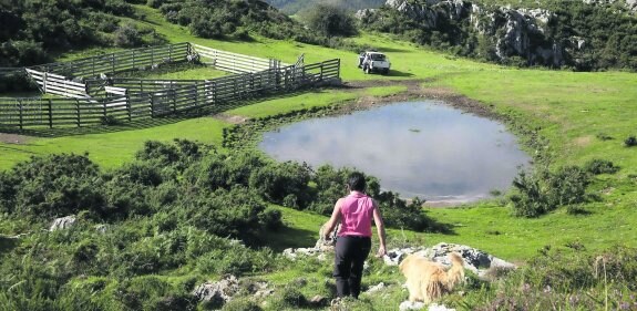 Paraje situado en el concejo de Onís y que se encuentra dentro del Parque Nacional de los Picos de Europa. 