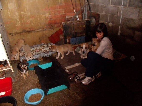 Lara Pedregal, con cinco de los cachorros y una de las madres en la casa en la que se encontraban.