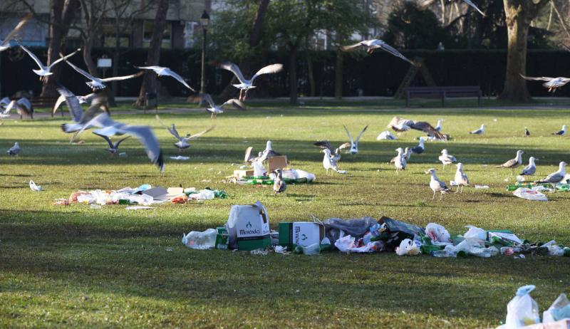 Cinco mil kilos de basura en el Parque de Ferrera