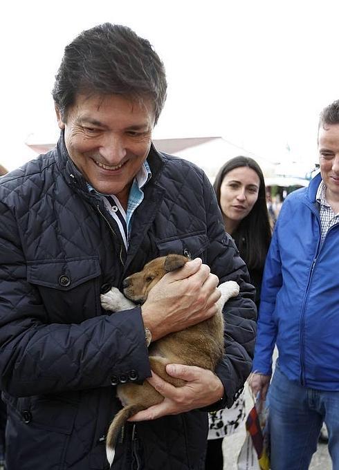 Javier Fernández, hoy, en la Feria de Muestras de Tineo.