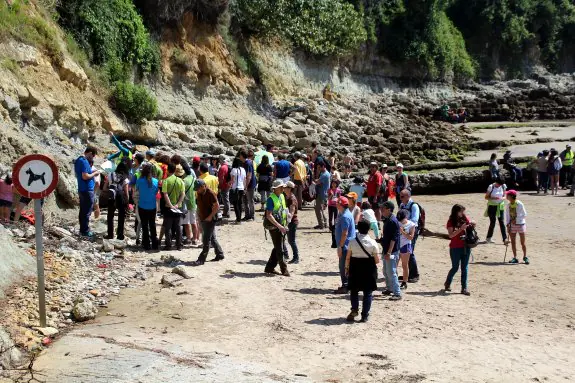 Uno de los grupos participantes en la jornada sobre geología en la playa de Antromero. 