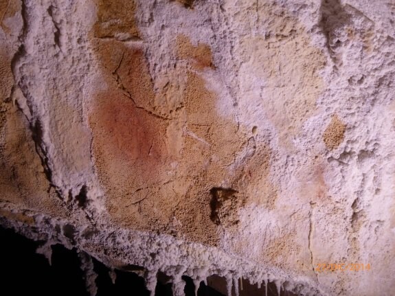 La cabeza de un oso, en trazos negros, con el hocico hacia la izquierda, localizada en una zona oculta del panel principal de Tito Bustillo. 