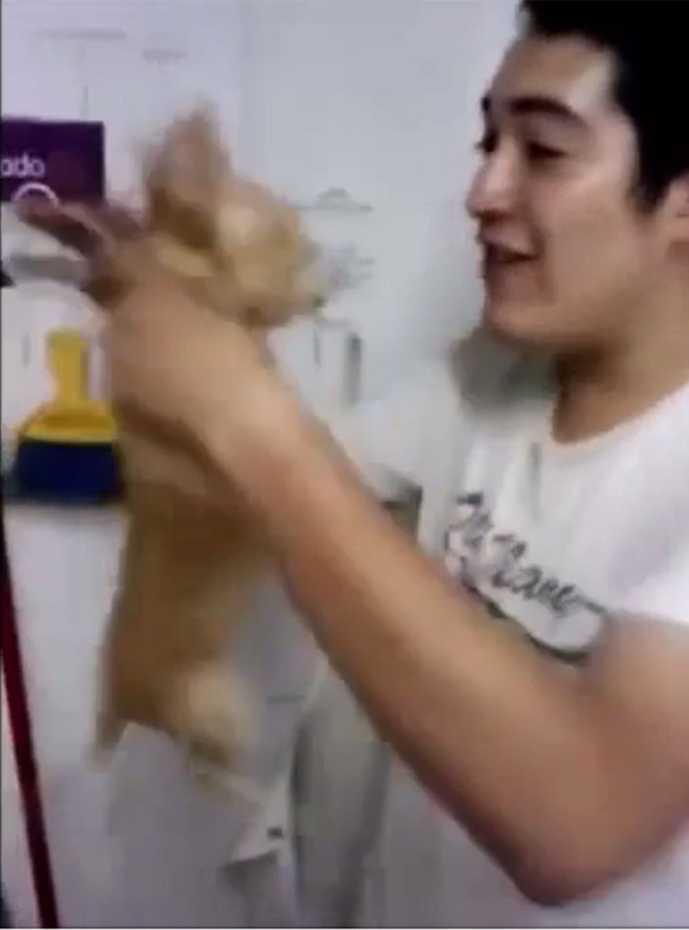 Dos empleados de una tienda de mascotas se graban torturando a los animales