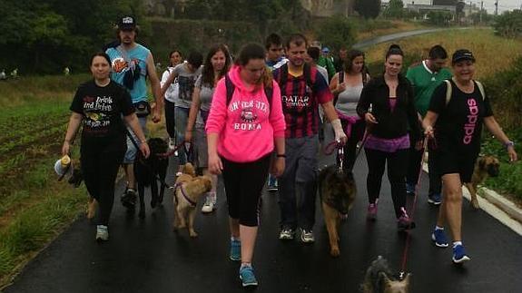 Unos 70 perros fueron inscritos en esta actividad. 