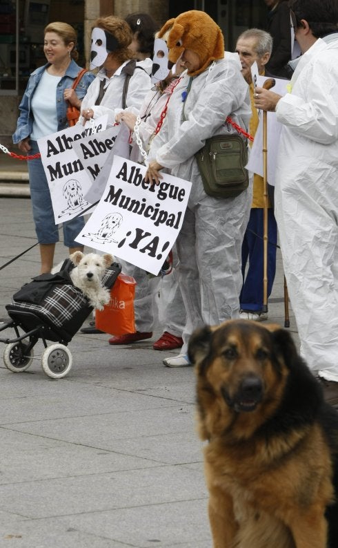 Protesta de la Plataforma Pro-Albergue en Avilés. 