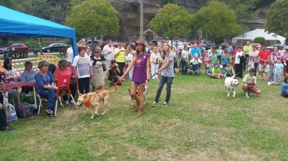 El entorno del Santuario de La Cueva acogió la romería de la Protectora de Animales del Oriente. 