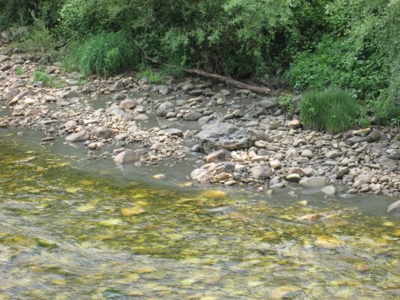 Zona donde se detectaron los vertidos al Nalón. 