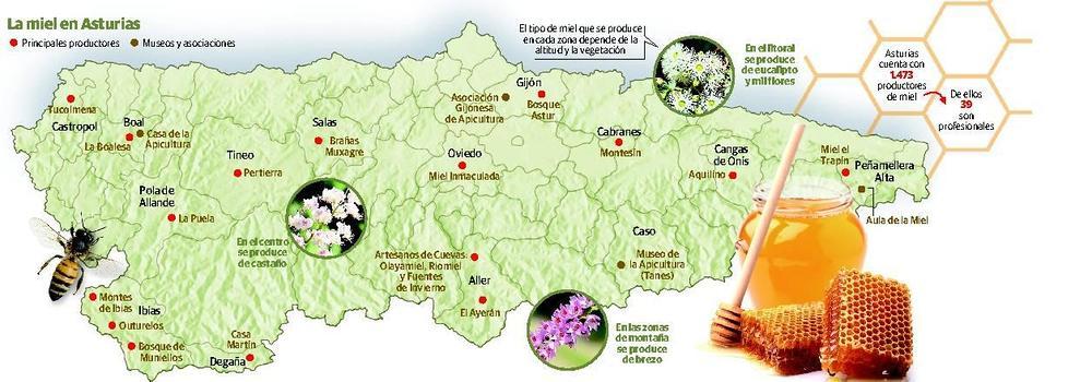 El mapa de la miel en Asturias