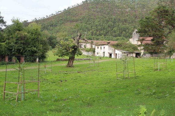 Panorámica de la finca del monasterio de San Antolín, en la localidad llanisca de Naves, que está a la venta excluyendo la iglesia. 