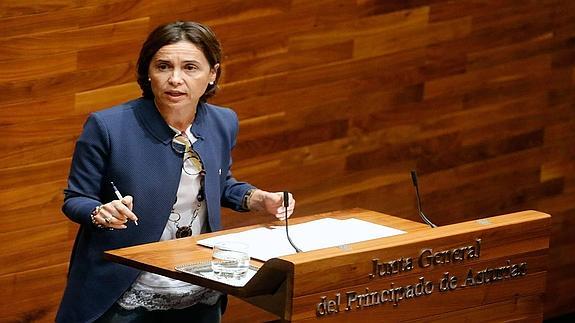 Carcedo: «El PP propone más ajustes para quienes menos tienen para bajar impuestos a quien más gana»