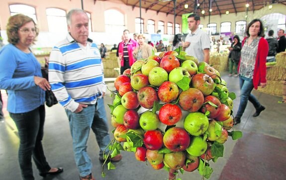 Una de las muestras de manzanas expuestas en la última edición del Festival.
