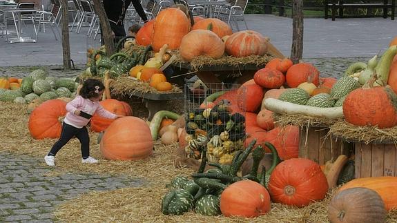 Antiguas tradiciones para el Día de Difuntos en el Botánico