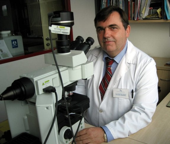 Francisco Vizoso, en la Unidad de Investigación del Hospital de Jove. 