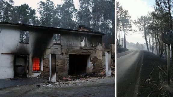 Daños causados por los incendios en Asturias.