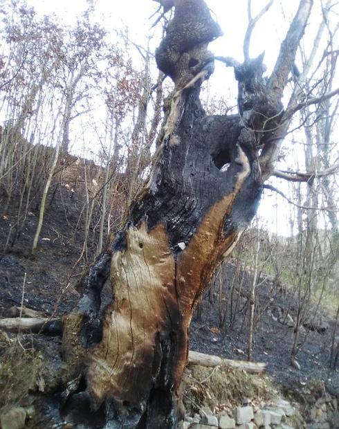 Se estabiliza la situación tras un fin de semana marcado por el fuego