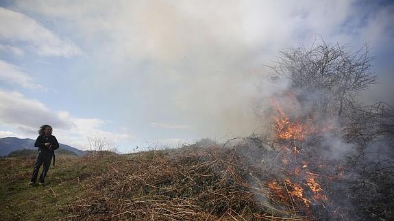 El viento podría ser mañana el peor enemigo de los efectivos de extinción del fuego en la lucha contra los incendios que aún están activos.