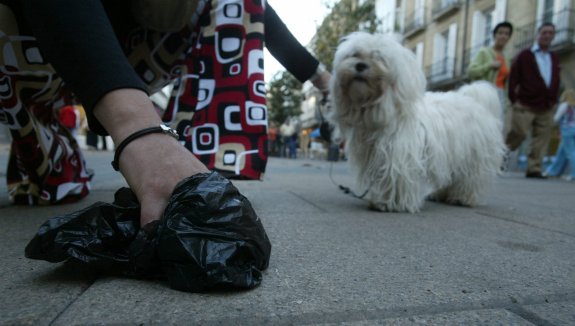 Una mujer recoge una deposición de su mascota de la calle. 