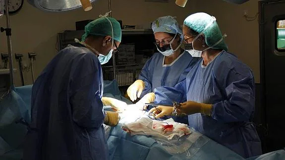 Operación quirúrgica el pasado mes de diciembre en el Hospital San Agustín. 