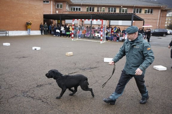 Exhibición de la Guardia Civil en el Iglesias Prada