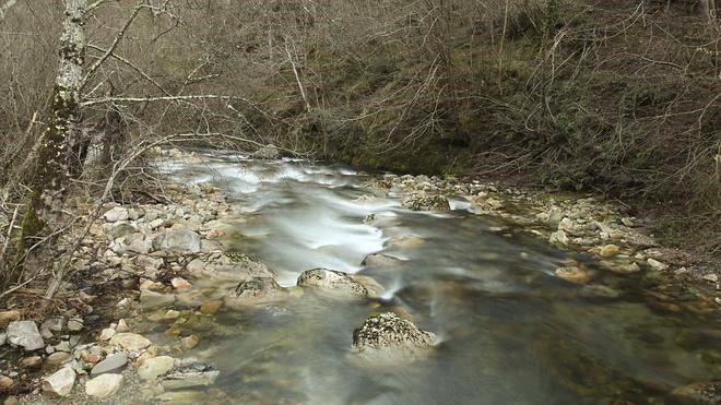 El agua más pura de Asturias