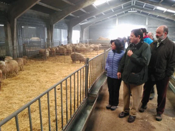 Javier Fernández, entre la consejera de Desarrollo Rural, María Jesús Álvarez, y el exgerente del Serida Koldo Osoro ayer en las instalaciones de El Carbayal. 