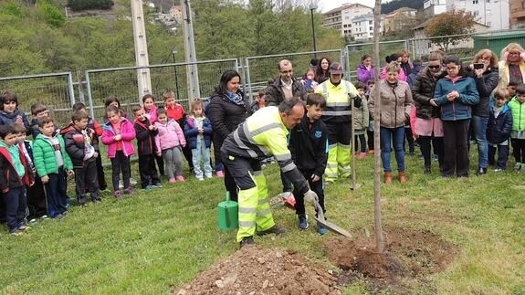 Momento de la plantación del árbol en el colegio cangués. 