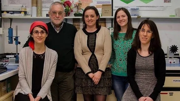 Equipo de investigadores de la Universidad de Oviedo. 