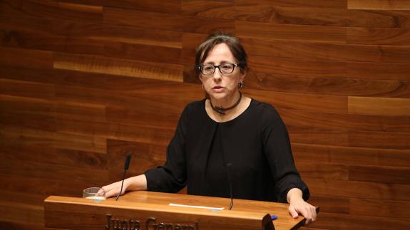 La consejera de Fomento, Ordenación del Territorio y Medio Ambiente de Asturias, Belén Fernández