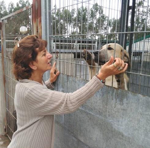 Susana de la Rubia, coordinadora del Allbergue de Serín, junto a la perra Marga