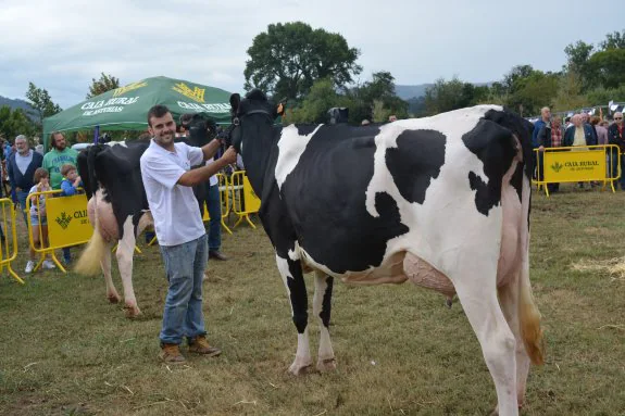 El joven Diego Palacio, de San Justo, conduce a una de las vacas frisonas participantes en el concurso.