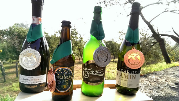 Sidra Trabanco recibe cuatro medallas en Michigan