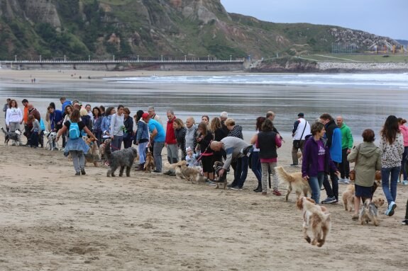 Los propietarios de perros bajaron a la playa con los animales para hacer una cadena en protesta. 