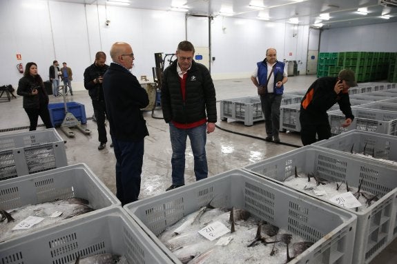 Primera subasta del bonito del año en Gijón, el pasado 16 de junio. Hoy podría producirse la última por el cierre del caladero. 