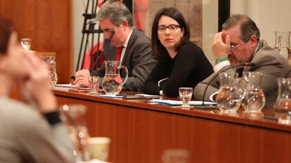 Carlos Rodríguez de la Torre, Ana María Bretón y Alfonso Araujo, en un Pleno.