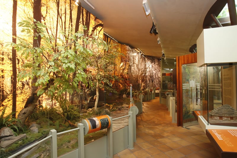 Centro de Interpretación de Muniellos