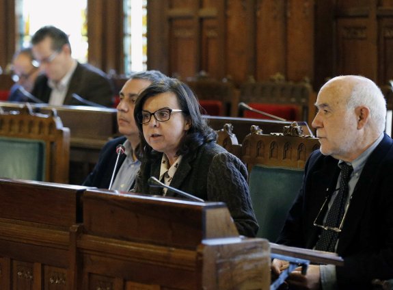 La consejera de Desarrollo Rural y Recursos Naturales, María Jesús Álvarez, en la Junta. 