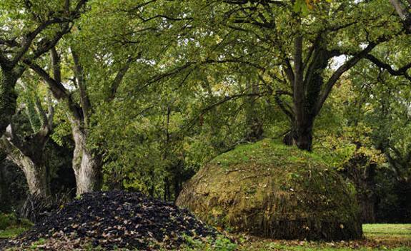 Las carboneras instaladas en el Botánico, a las que ahora se han acompañado troncos verticales. 
