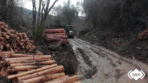 Lugar donde ocurrió el accidente.