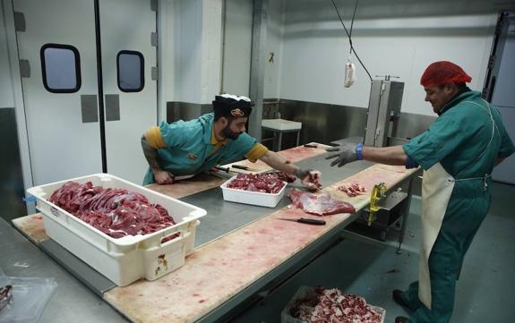 El valle del Nalón estrena en Laviana la primera sala de despiece para caza