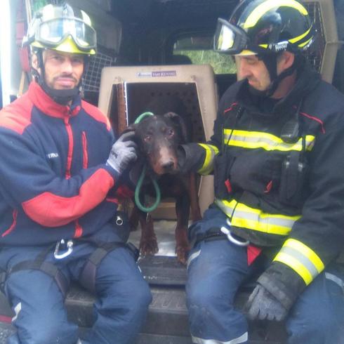Los bomberos, con el perro que lograron rescatar en Llantones. 