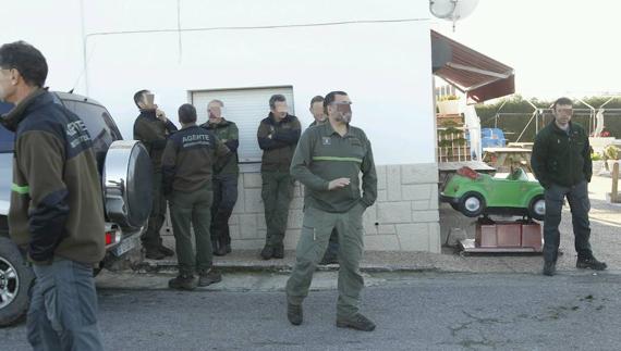 Primera batida con guardas del Principado para cazar jabalíes por Villaviciosa