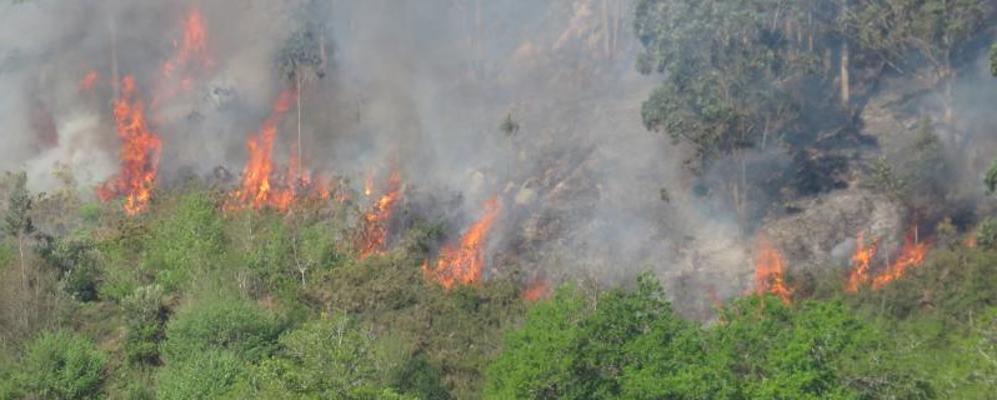 Incendio en Rales, en el oriente asturiano.