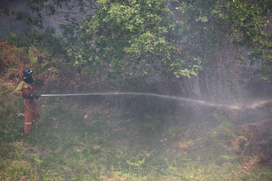 Los ecologistas culpan al parlamento de la oleada de incendios